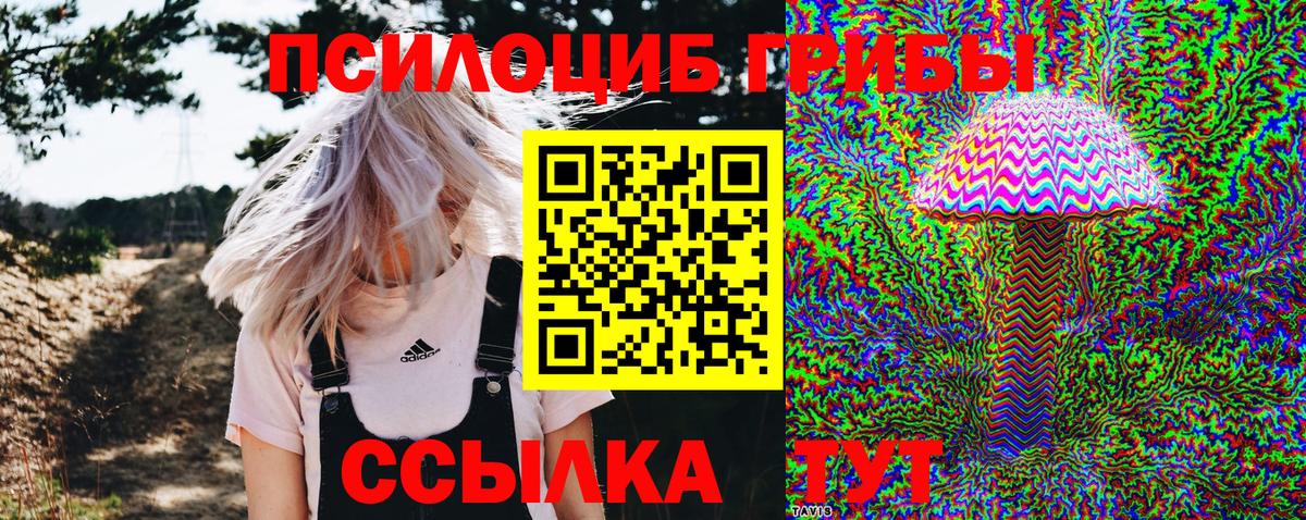 Галлюциногенные грибы мицелий  Галлюциногенные грибы прущие грибы  Вход с VPN  Находка 
