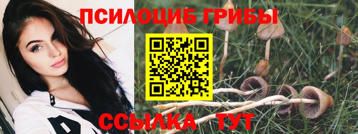 Псилоцибиновые грибы ЛСД Находка